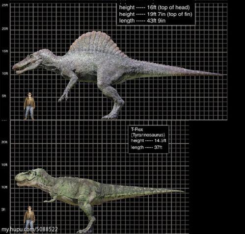棘龙大战霸王龙视频,棘龙与霸王龙巅峰对决