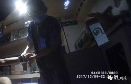 蛇咬人的视频,揭秘蛇咬人事件现场